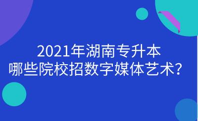 2021年湖南專(zhuān)升本哪些院校招數(shù)字媒體藝術(shù)？.png