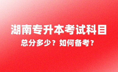 2025年湖南專升本考試科目總分多少？如何備考？