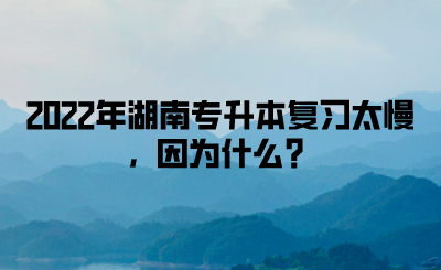 2022年湖南專升本復(fù)習(xí)太慢，因為什么？(圖1)