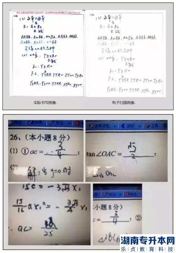 江蘇2023年專轉(zhuǎn)本考試答題卡樣式及填涂注意事項(圖5)