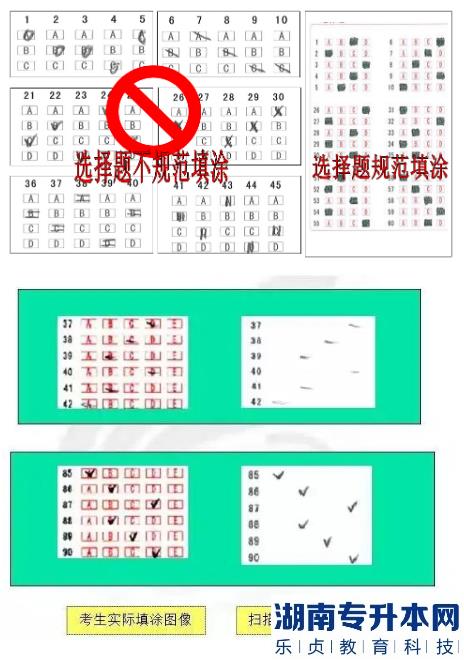 江蘇2023年專轉(zhuǎn)本考試答題卡樣式及填涂注意事項(圖4)