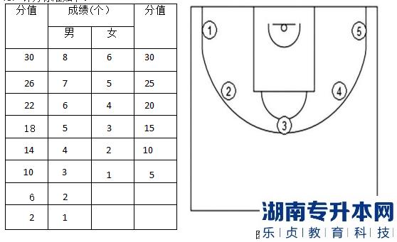 2023年邵陽(yáng)學(xué)院專升本籃球測(cè)試細(xì)則及評(píng)分標(biāo)準(zhǔn)(圖3)