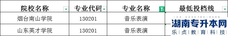 2023年山東專升本音樂表演建檔立卡投檔分?jǐn)?shù)線