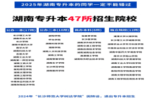 一文帶你了解湖南專升本，報(bào)名|備考本文全搞定